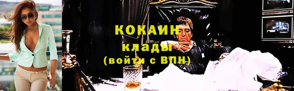 дживик Володарск