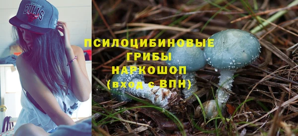 spice Волоколамск