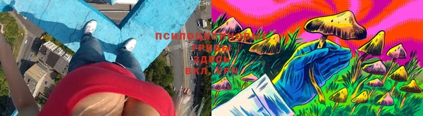 амф Волосово